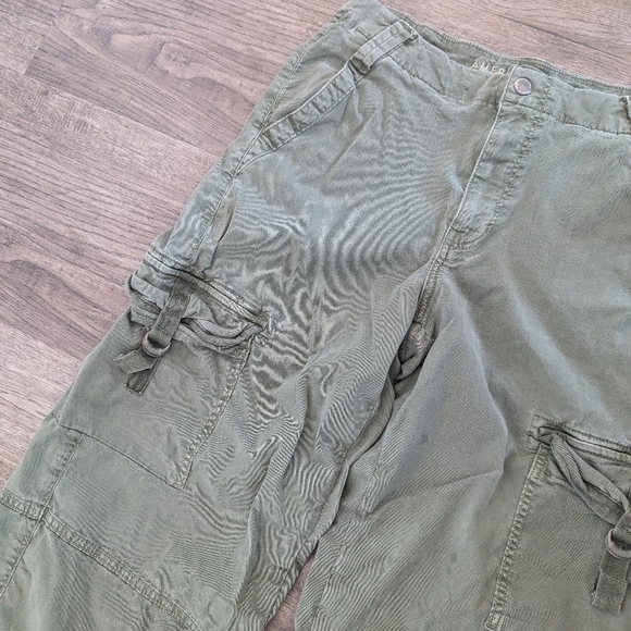 American Eagle cargo pants, short, size 2 - Picture 3 of 4